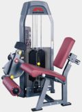 Разгибание ног Johnson GM-153