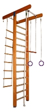   ,   , 